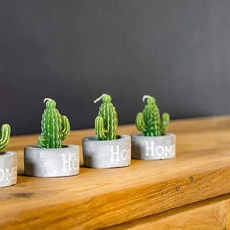 Pitch 15 アパート *